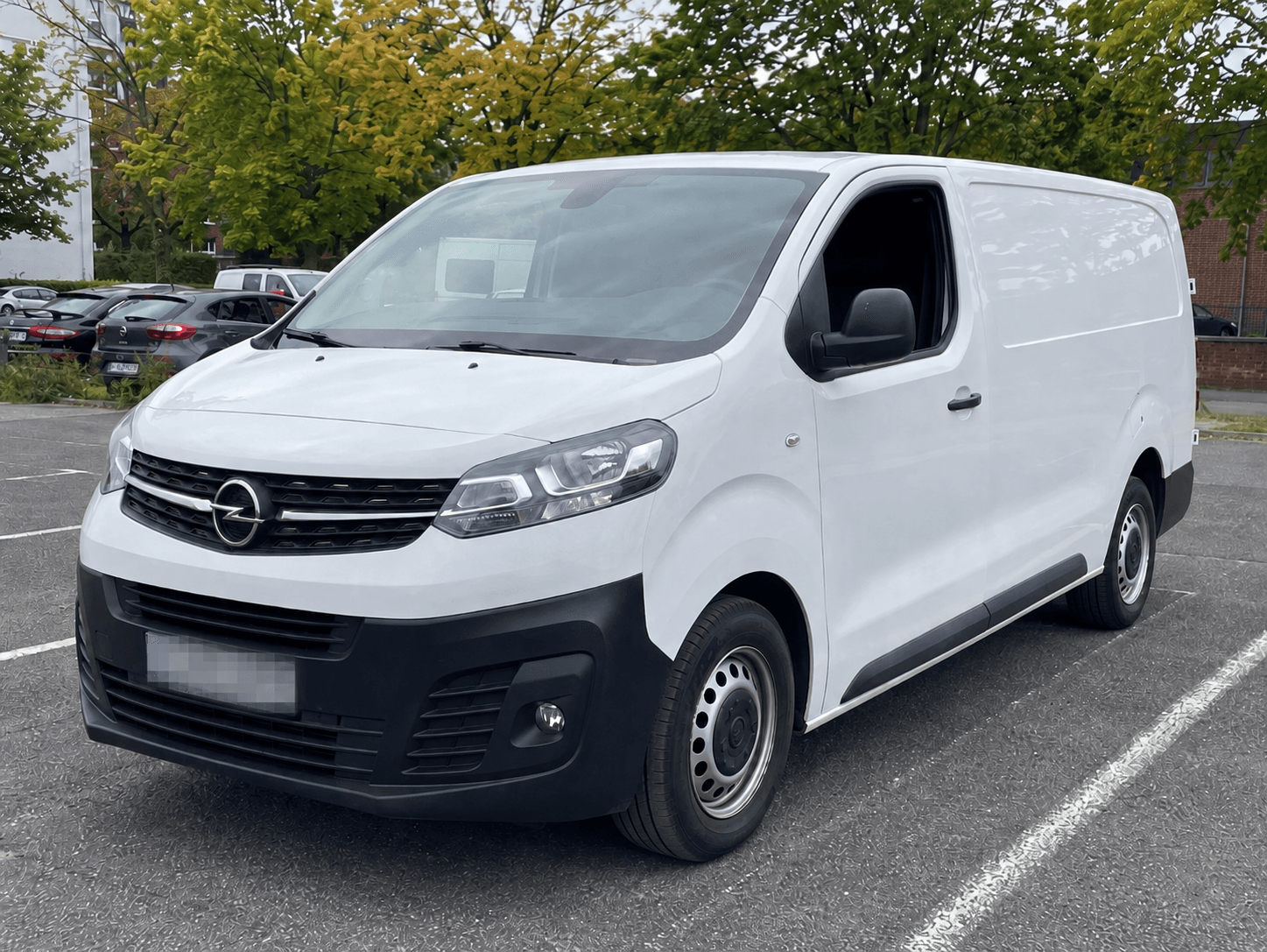 Cargo Van after