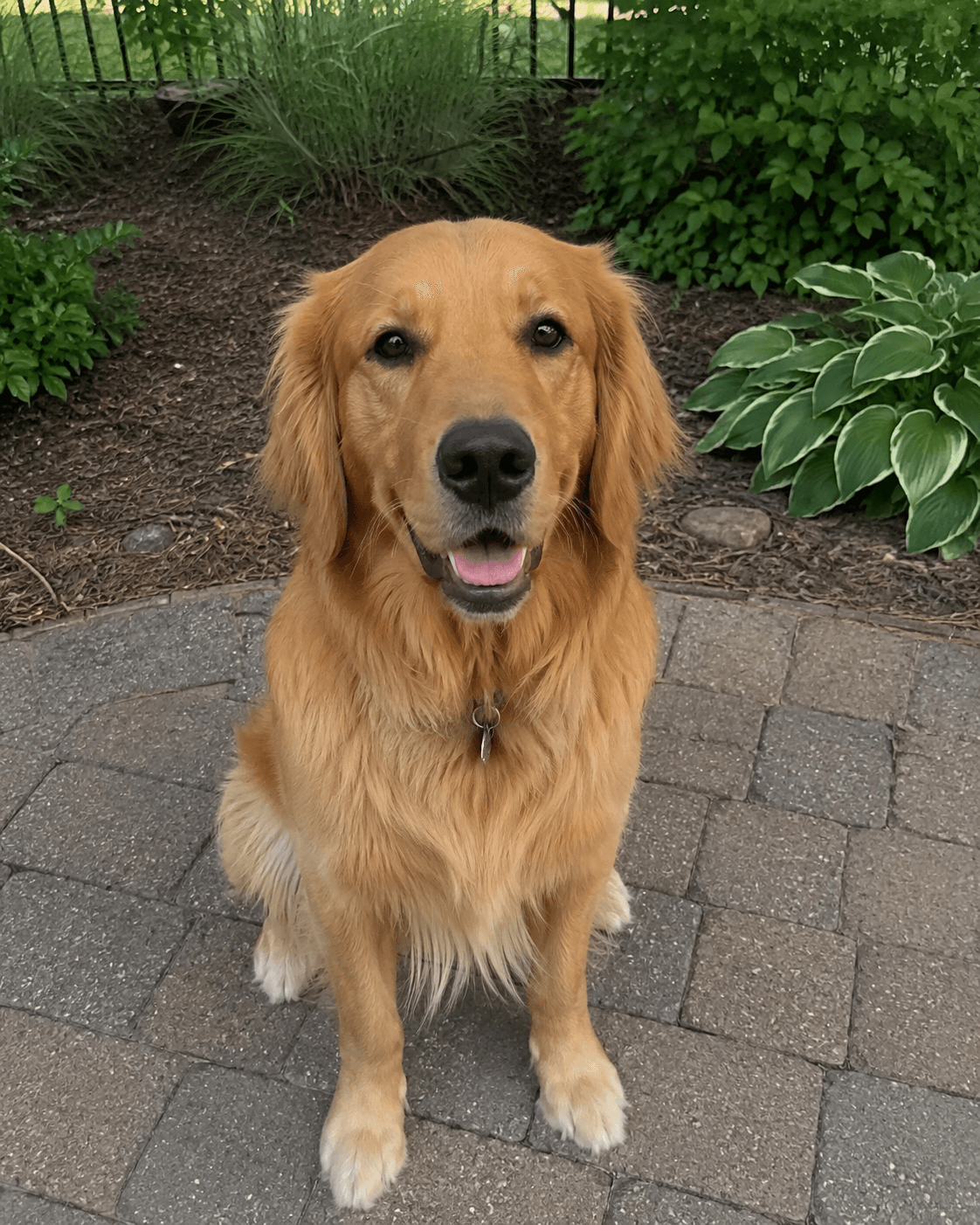 Royal Portrait photo